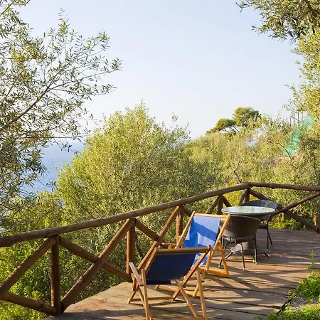Angelina Hotel 4*
